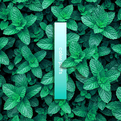 Spearmint + Caffeine